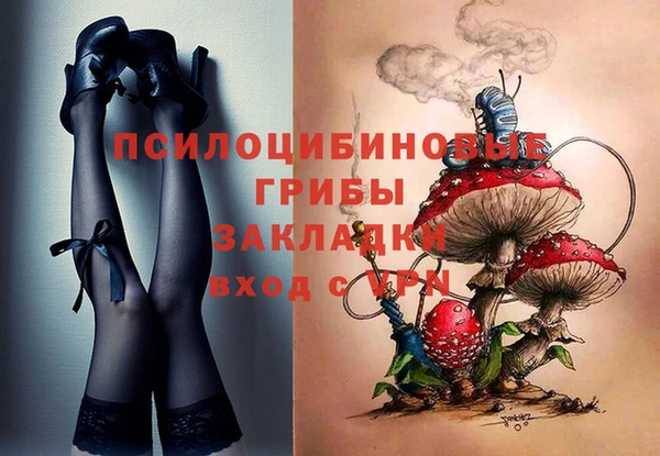 дживик Мегион
