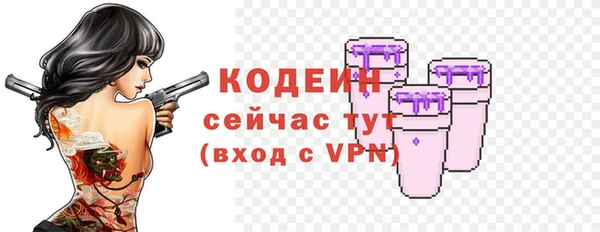 дживик Мегион