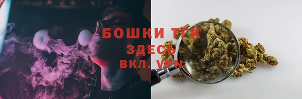 дживик Мегион