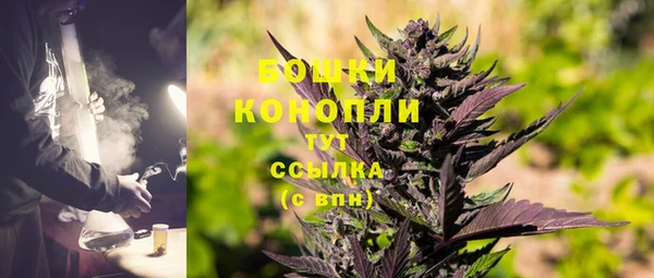 дживик Мегион